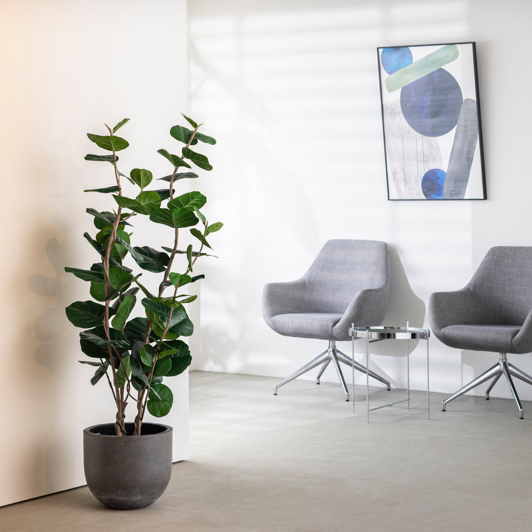 Artificial - Green フェイクグリーン シーグレープ – KANADEMONO