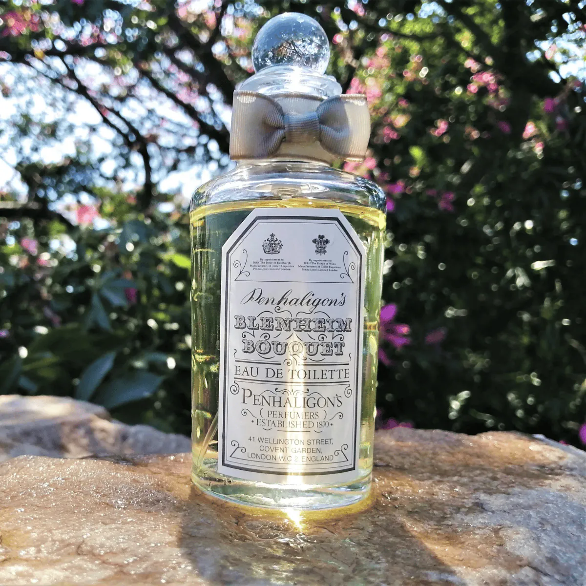 Blenheim Bouquet Perfume by Penhaligon'S EDT For Men 100 ml