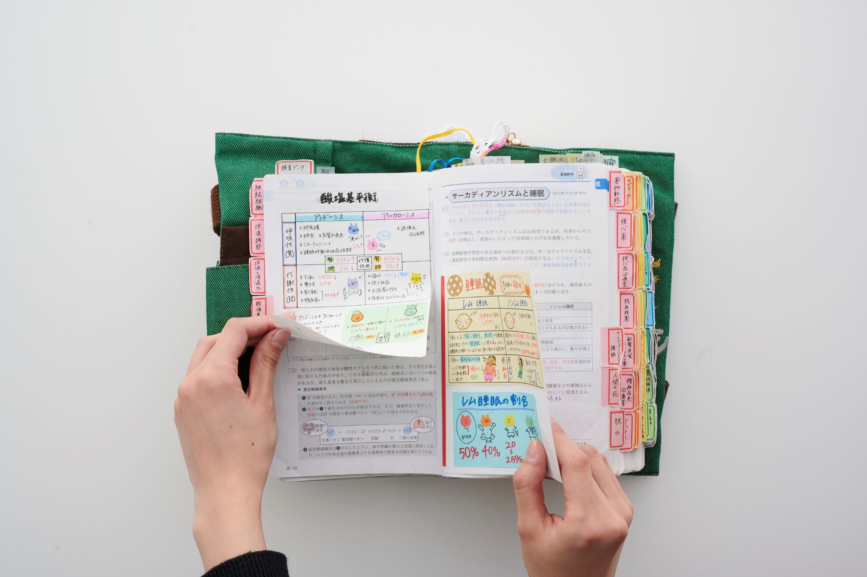 第5回 ぶどうさんのマイ・レビューブック紹介 2020 (見やすくまとめた