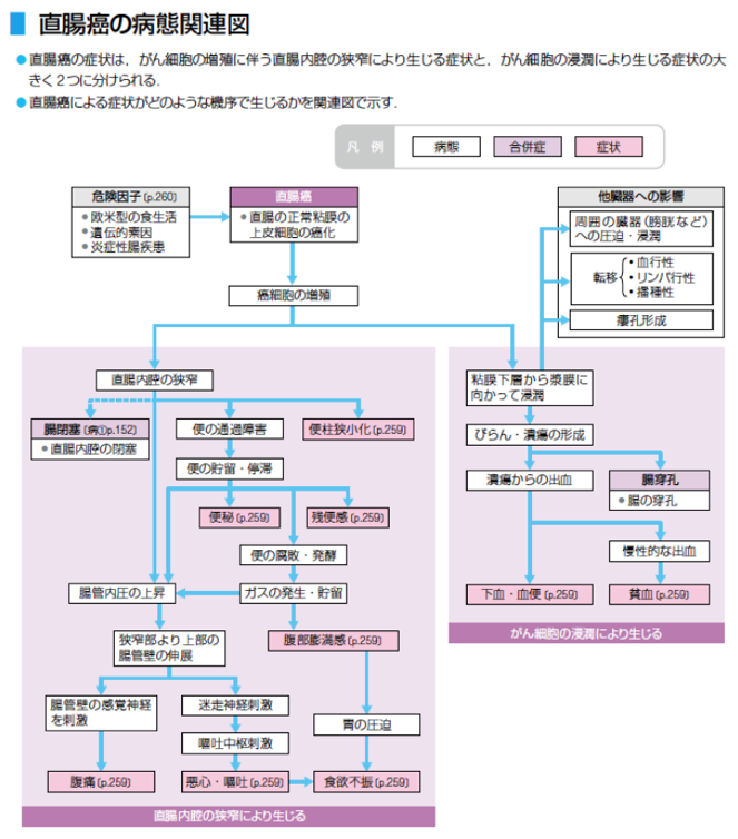 教えてマメくん！関連図って何？何のために書くの？ - がんばれ看護
