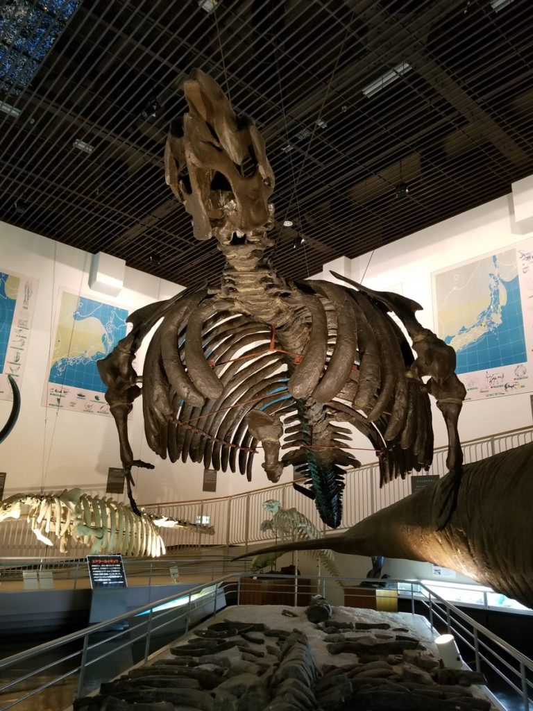 美術自然史館 | 一般社団法人たきかわ観光協会