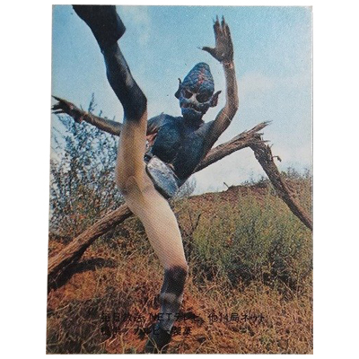 参考価格】怪鳥怪人ゲバコンドル No.10 表14局 旧 仮面ライダーカード