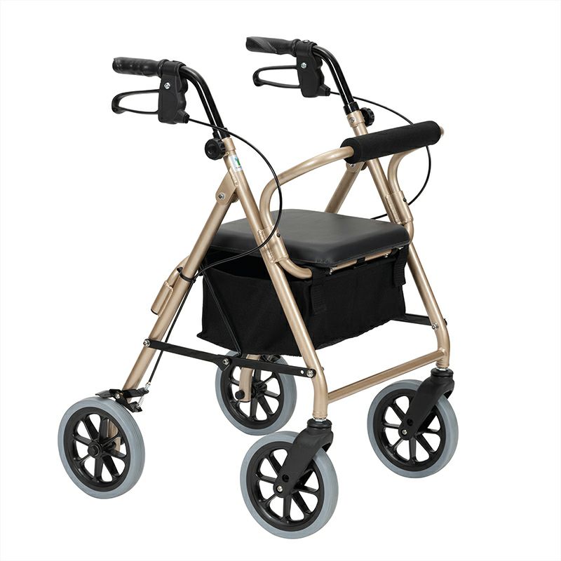 取扱終了】3輪歩行車 トライウォーカーR(TR-62R-BK) インタージェット