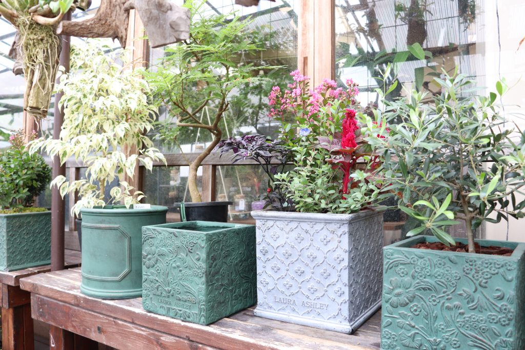 LAURA ASHLEY】鉢 アイボリー 約25cm【ガーデニング】 【公式通販】