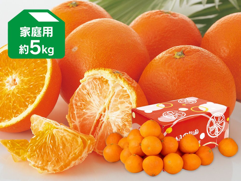 西之香 約5kg | のま果樹園