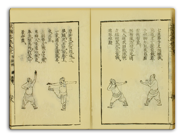 琉球傳武備志| L'histoire du karaté okinawaïen