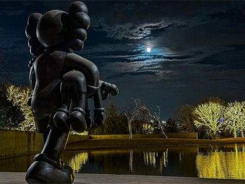 KAWS x House of Voltaire Limited Cashmere Blanket - KAWS TOO