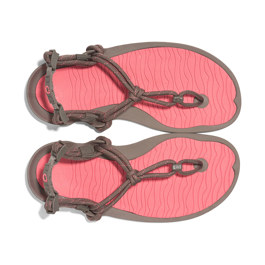 株式会社ケンコー社 / W's アクアクラウド