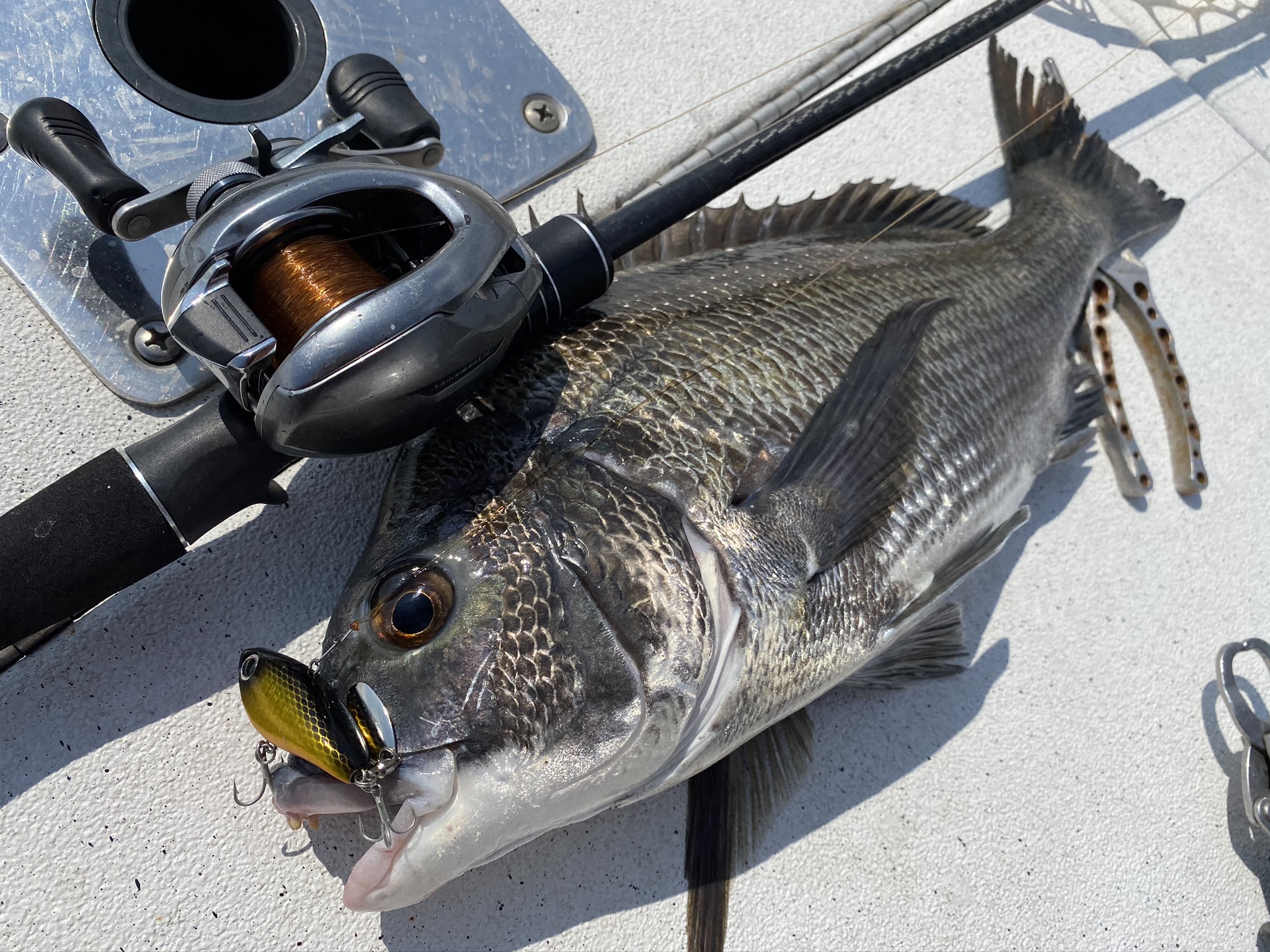 2021NEW！ディアルーナBS - 黒田健史の「いろはにほへと」