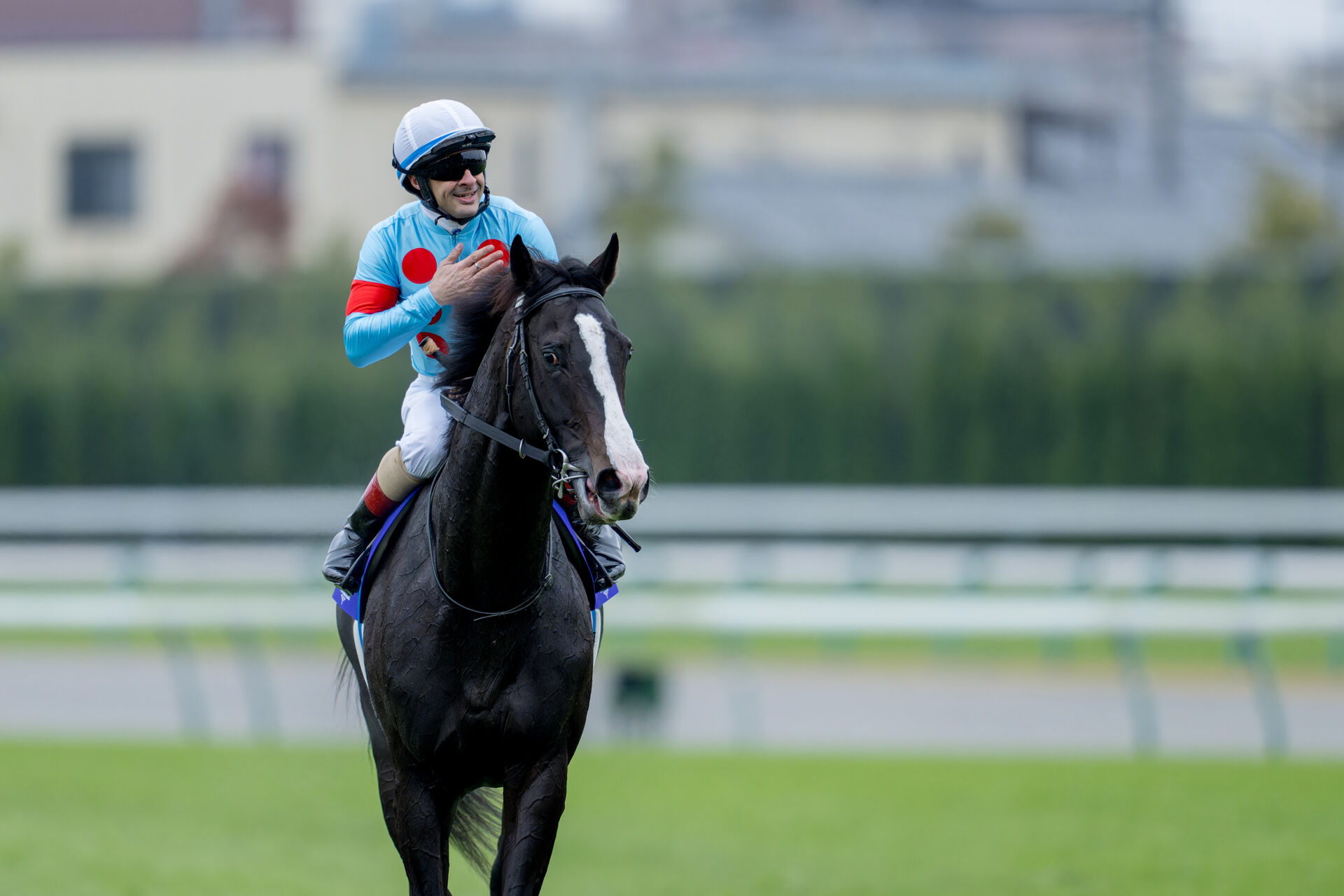 イクイノックスが引退、種牡馬入り | 競馬ニュースなら競馬のおはなし