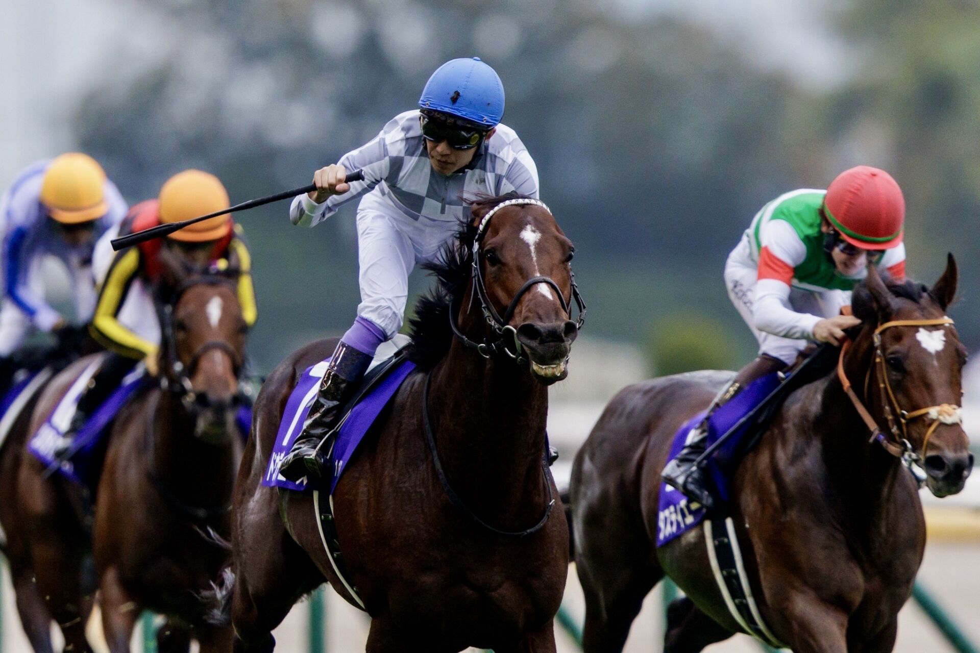 武豊日記】ディープインパクトの傑作と戦う | 競馬ニュースなら競馬の