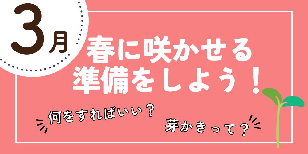 バラ芽出し 3月のお手入れ｜バラと庭あそび京阪園芸公式ショップ 通販