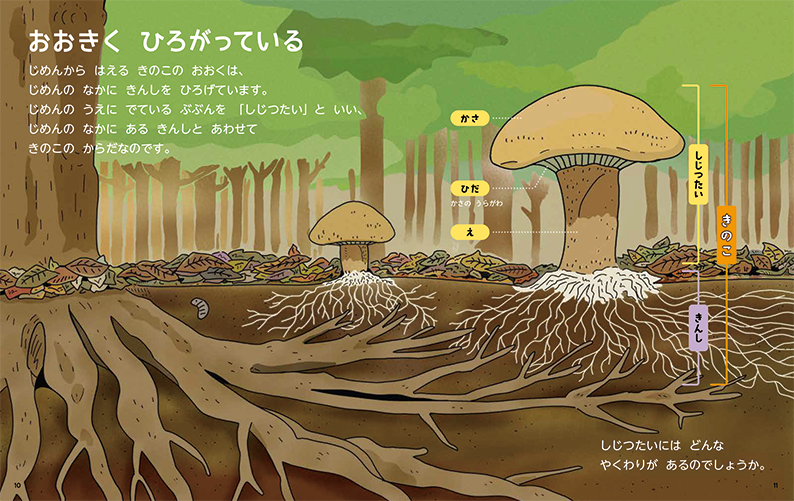 しぜん-キンダーブック - フレーベル館の月刊保育絵本