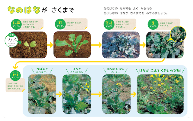 しぜん-キンダーブック - フレーベル館の月刊保育絵本