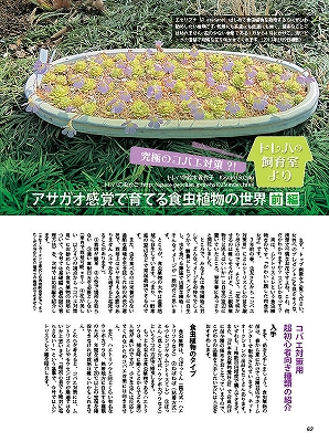 ビークワ47号（BE・KUWA） 日本のミヤマクワガタ大特集