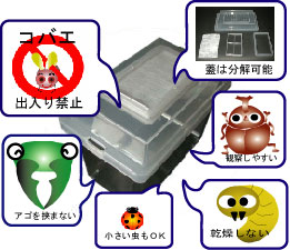 コバエシャッター飼育ケースの販売【即日スピード出荷】