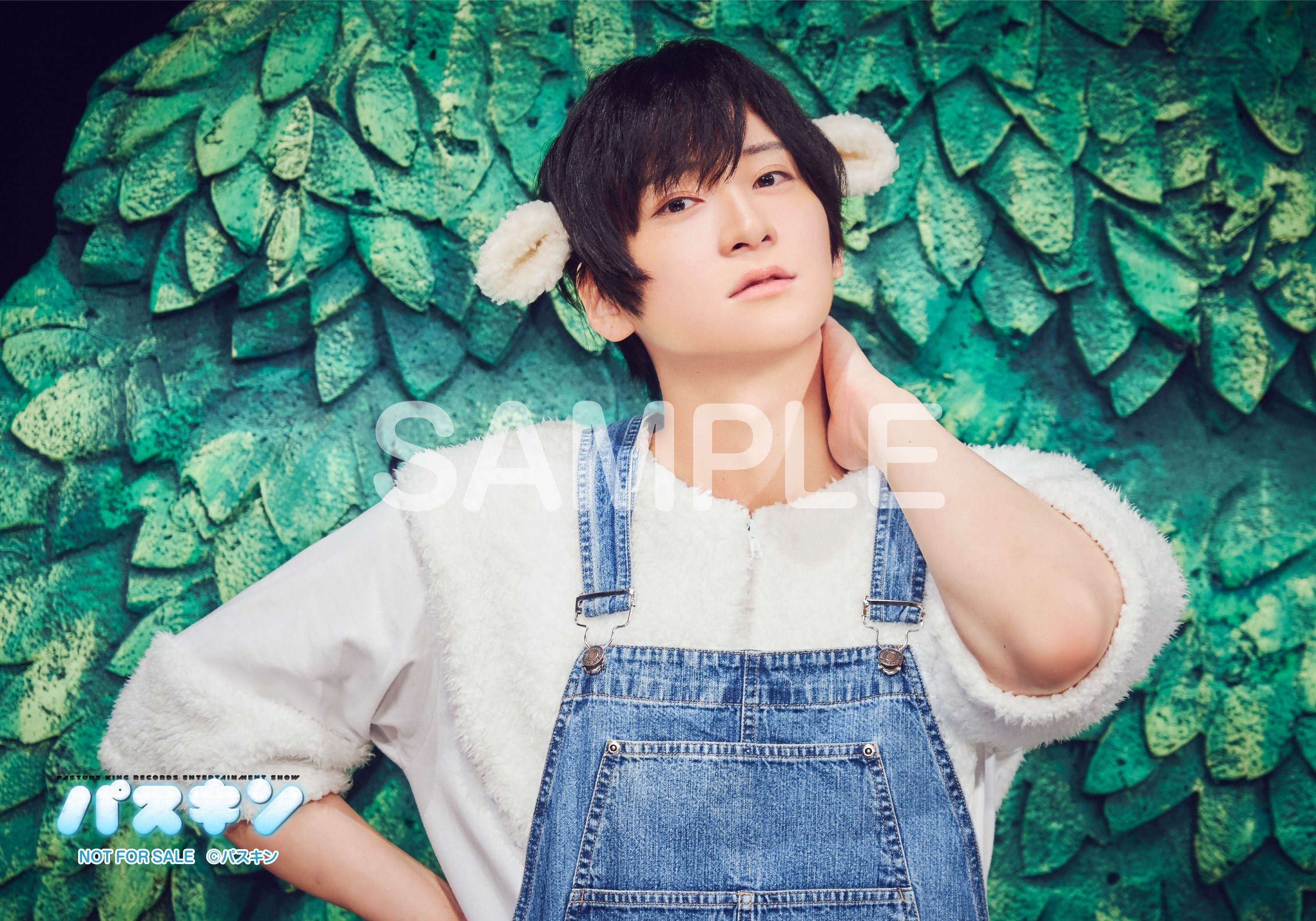 パスキン」 Blu-ray 下巻: 映像キンクリ堂