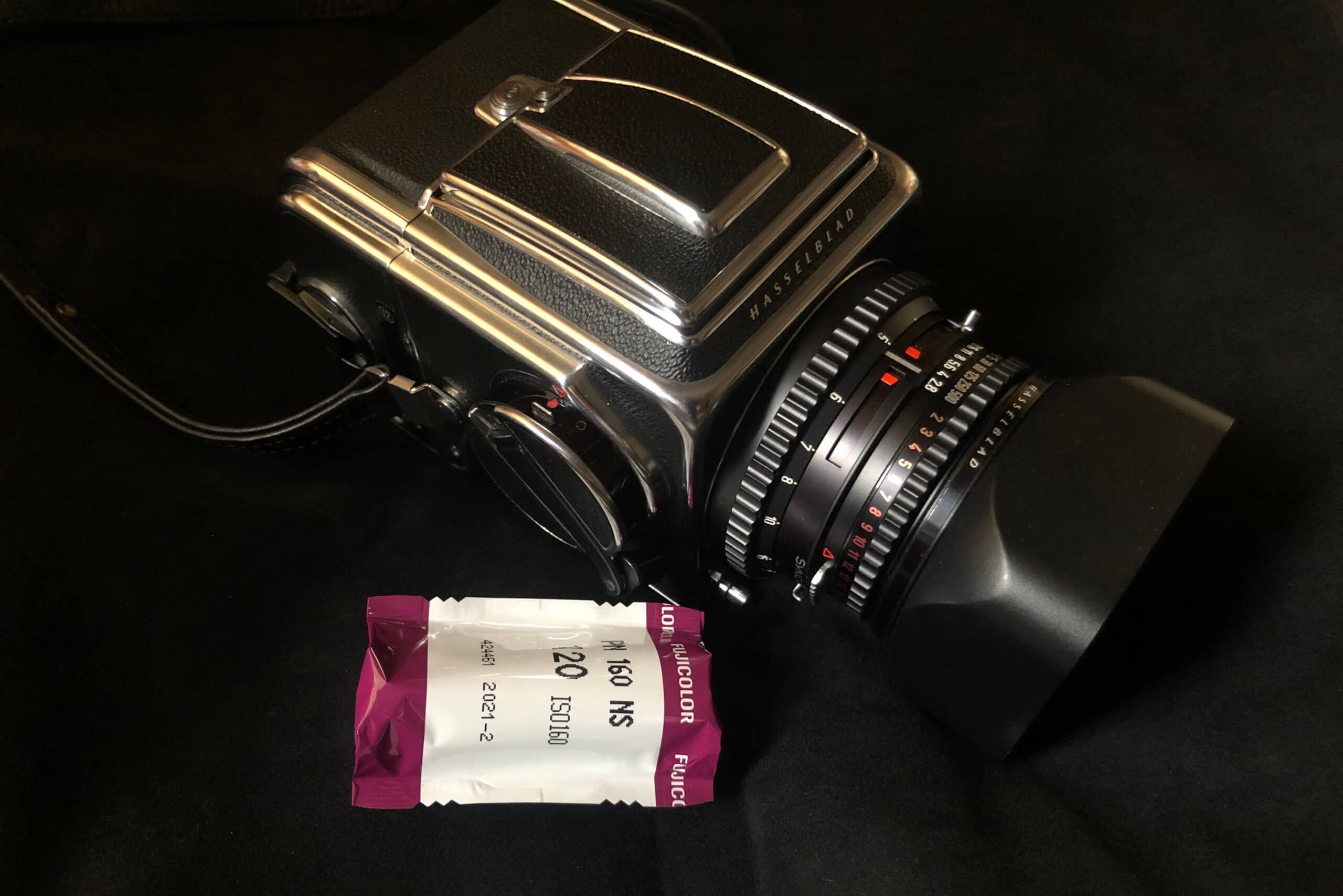 中判カメラはいいね。土曜日の朝、愛犬とハッセルブラッドと。｜記憶カメラ