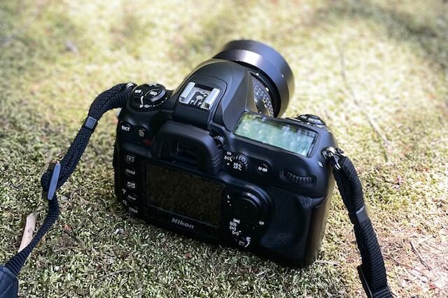 久しぶりにCCD時代の名機Nikon D200とたわむれる。｜記憶カメラ