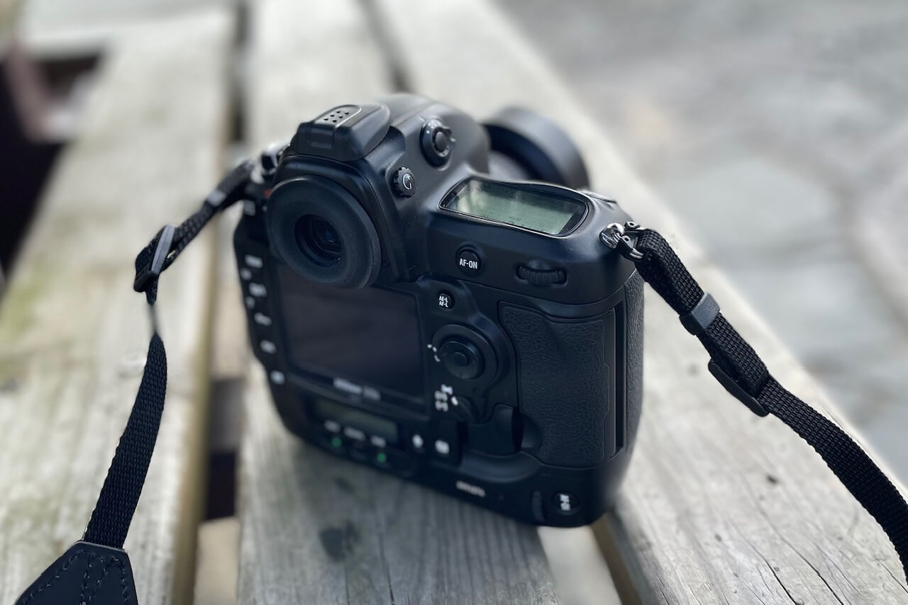 Nikon D3SとNikon Zfを行き来する幸福。｜記憶カメラ