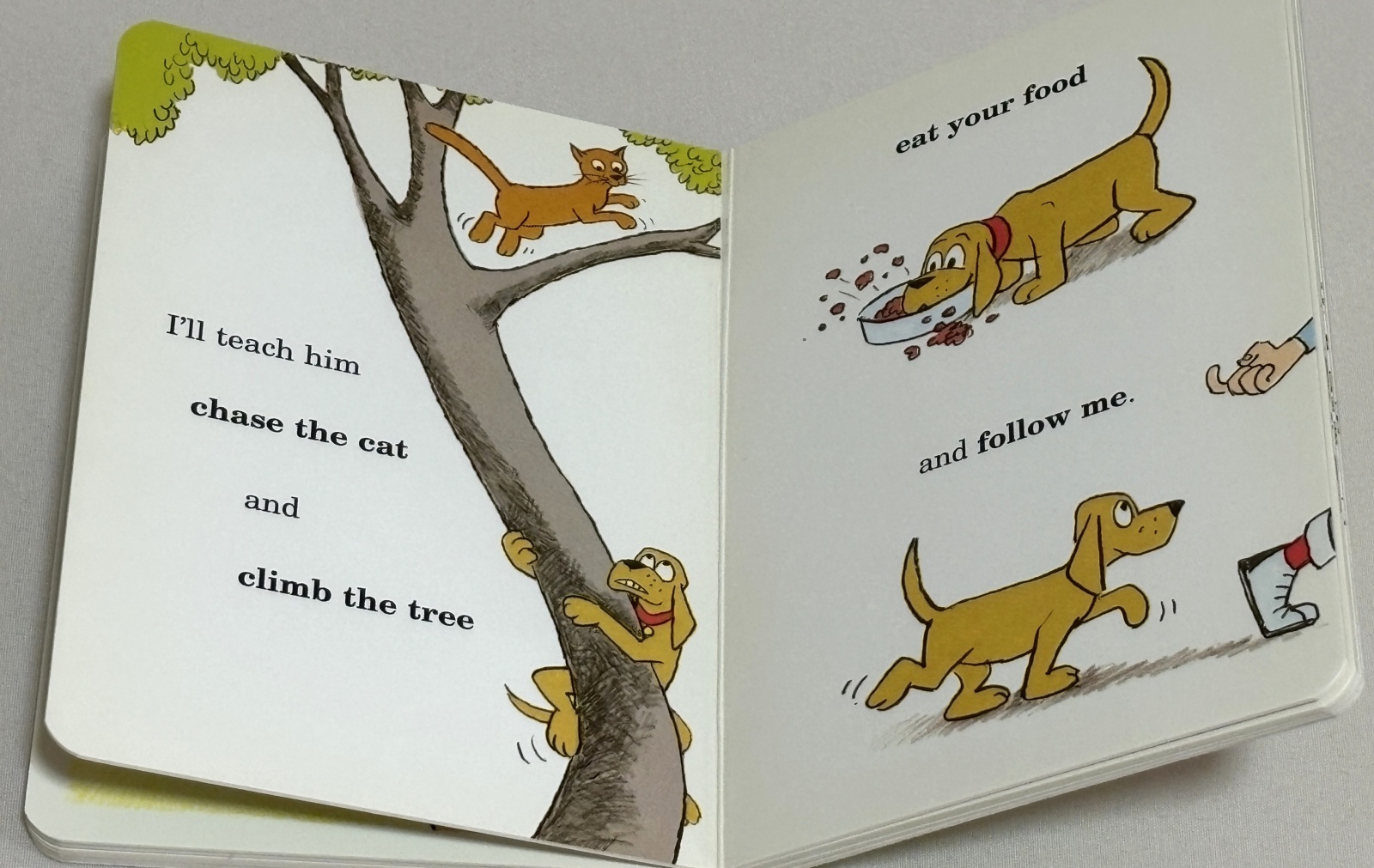 英語絵本】I'll Teach My Dog a Lot of Words｜ユーモアで英語命令文を