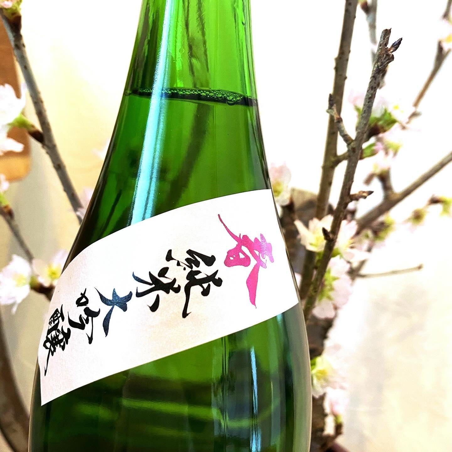 初孫 純米大吟醸 美咲 限定品 【山形の地酒/日本酒専門店 木川屋】