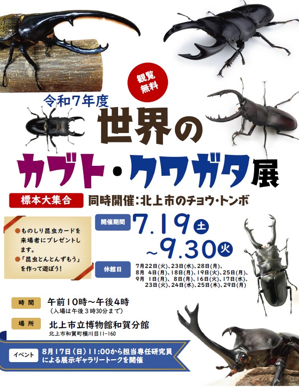 北上市立博物館和賀分館『世界のカブト・クワガタ展』 - きたぶら-北上