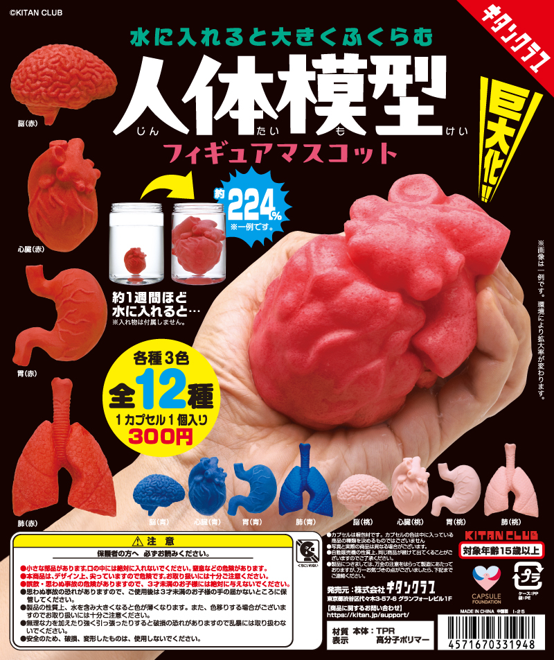 水に入れると大きくふくらむ 人体模型フィギュアマスコット｜株式会社