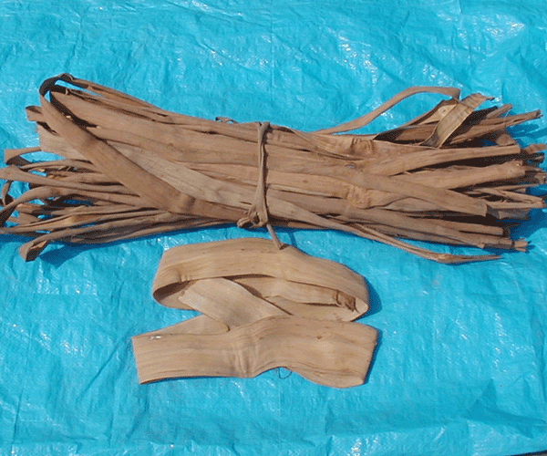 山葡萄（ヤマブドウ） 蔓・真皮 A品 1Kg - 北の山菜Web3号店