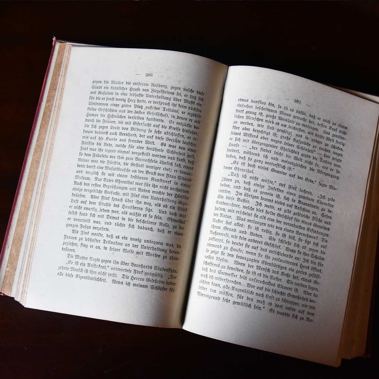 洋書 ドイツ語 Soll und haben 第1巻 .BK-90-1 – 神戸アンティーク