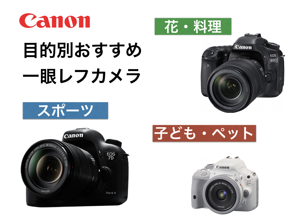目的・予算別おすすめデジタル一眼レフカメラとレンズ紹介（キヤノン