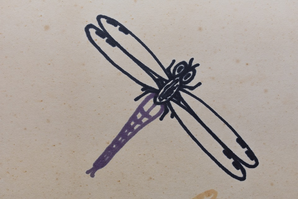 山下清 トンボ ペン画 色紙 | 株式会社かぐら堂 骨董品をプロが鑑定し買取