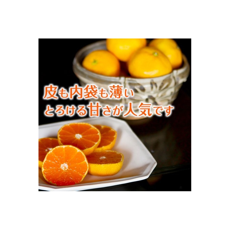 龍馬感激みかん 3kg箱｜高知まるごとネット