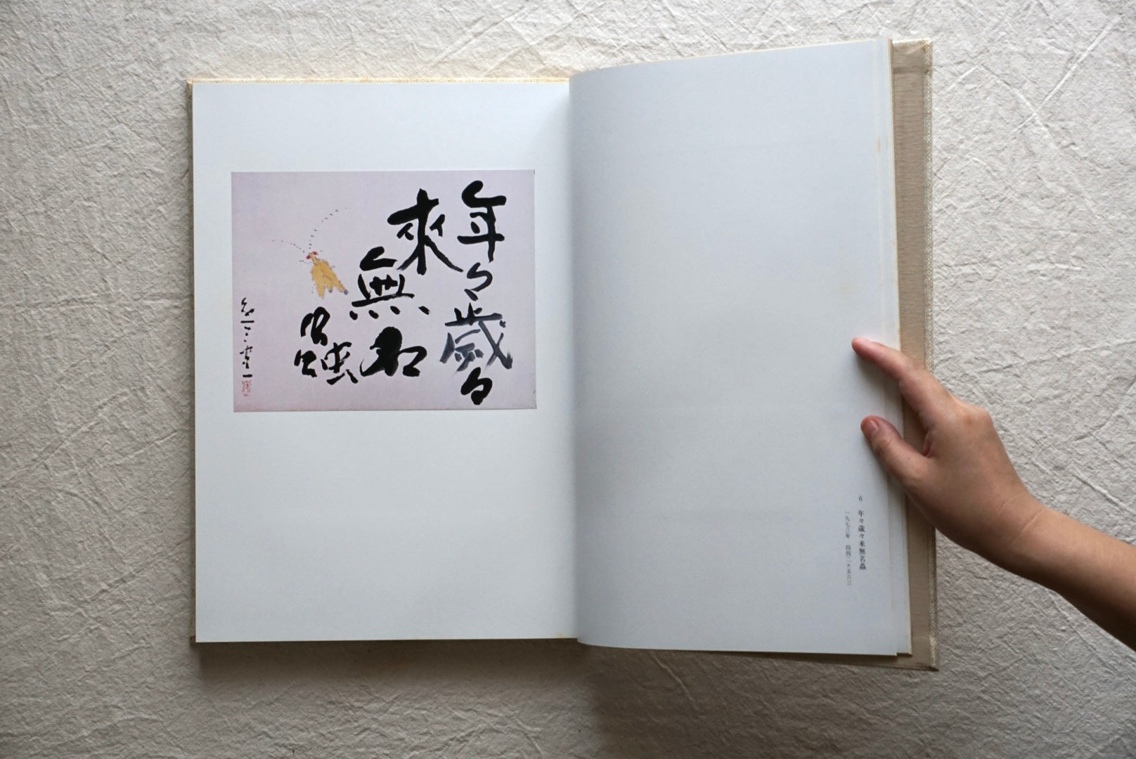 書 熊谷守一 神無書房 書道家 日本書道 書道作品集 伝統書道 実験書道