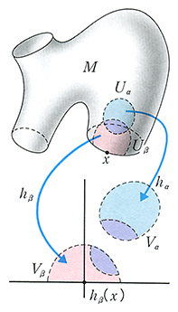 微分トポロジー(びぶんとぽろじー)とは？ 意味や使い方 - コトバンク