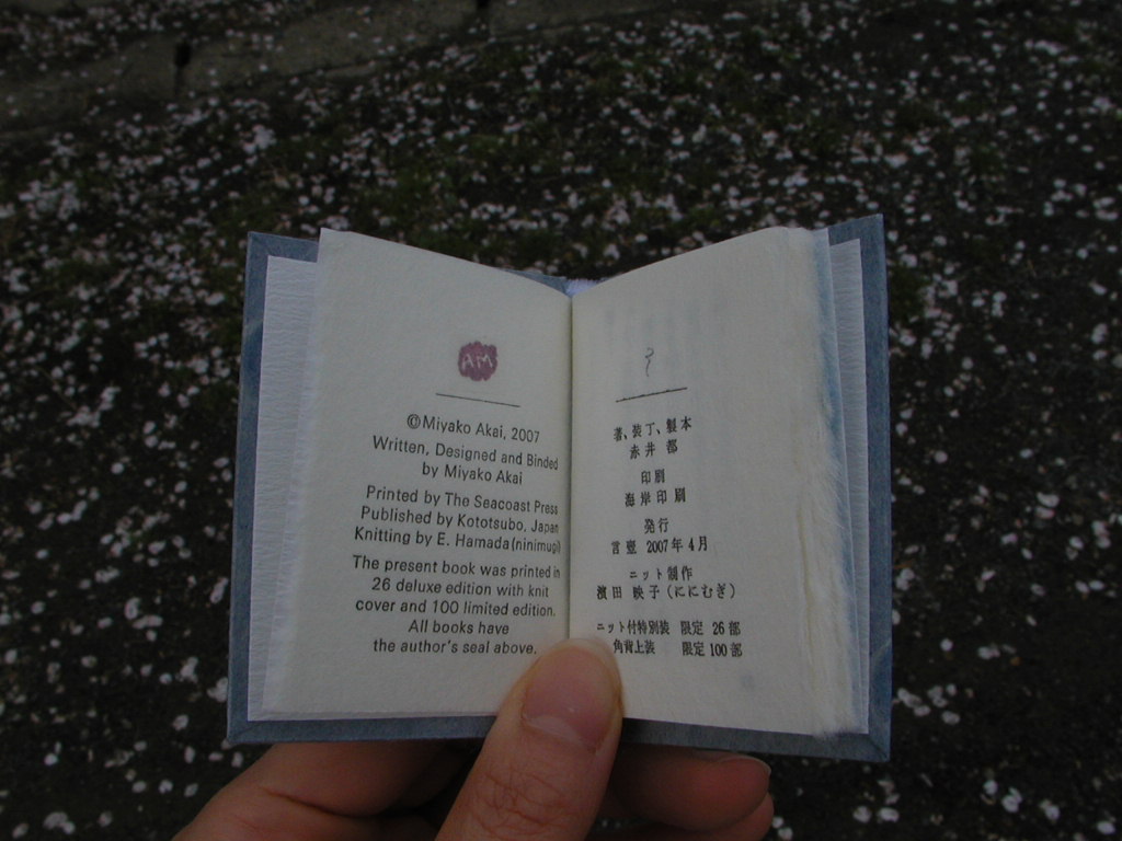 雲捕獲記録 Dancing on the Cloud」（赤井都の豆本）