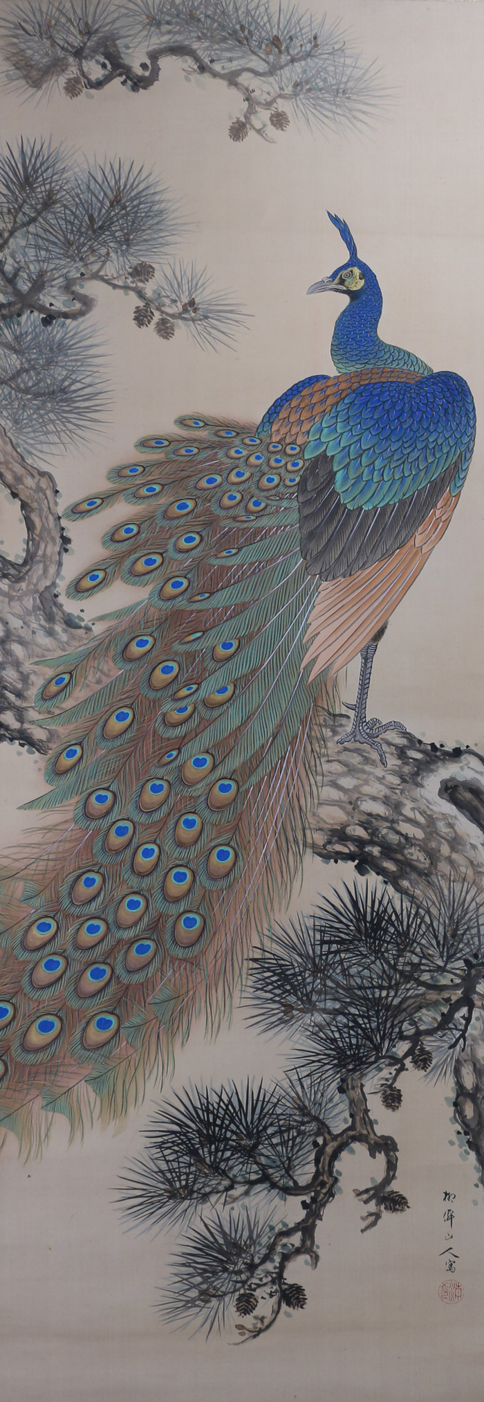孔雀｜新・古美術 高美堂（こうびどう）｜掛軸販売・通販・買取｜骨董