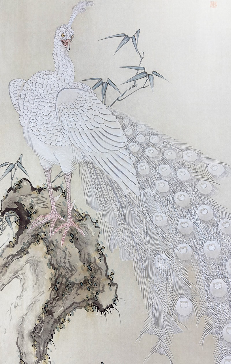 白孔雀｜新・古美術 高美堂（こうびどう）｜掛軸販売・通販・買取