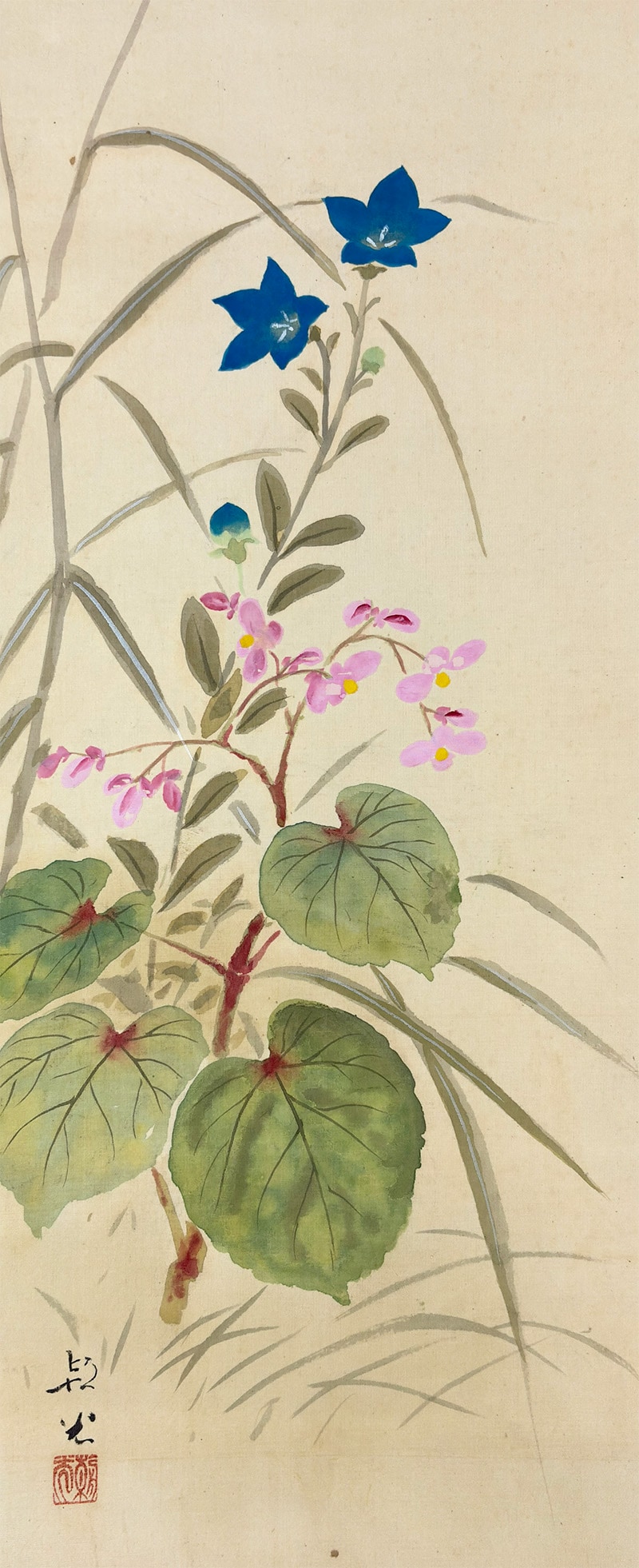 秋草(桔梗に虫)図】今井景樹 2715 掛け軸 共箱 肉筆 秋掛け 秋草(桔梗