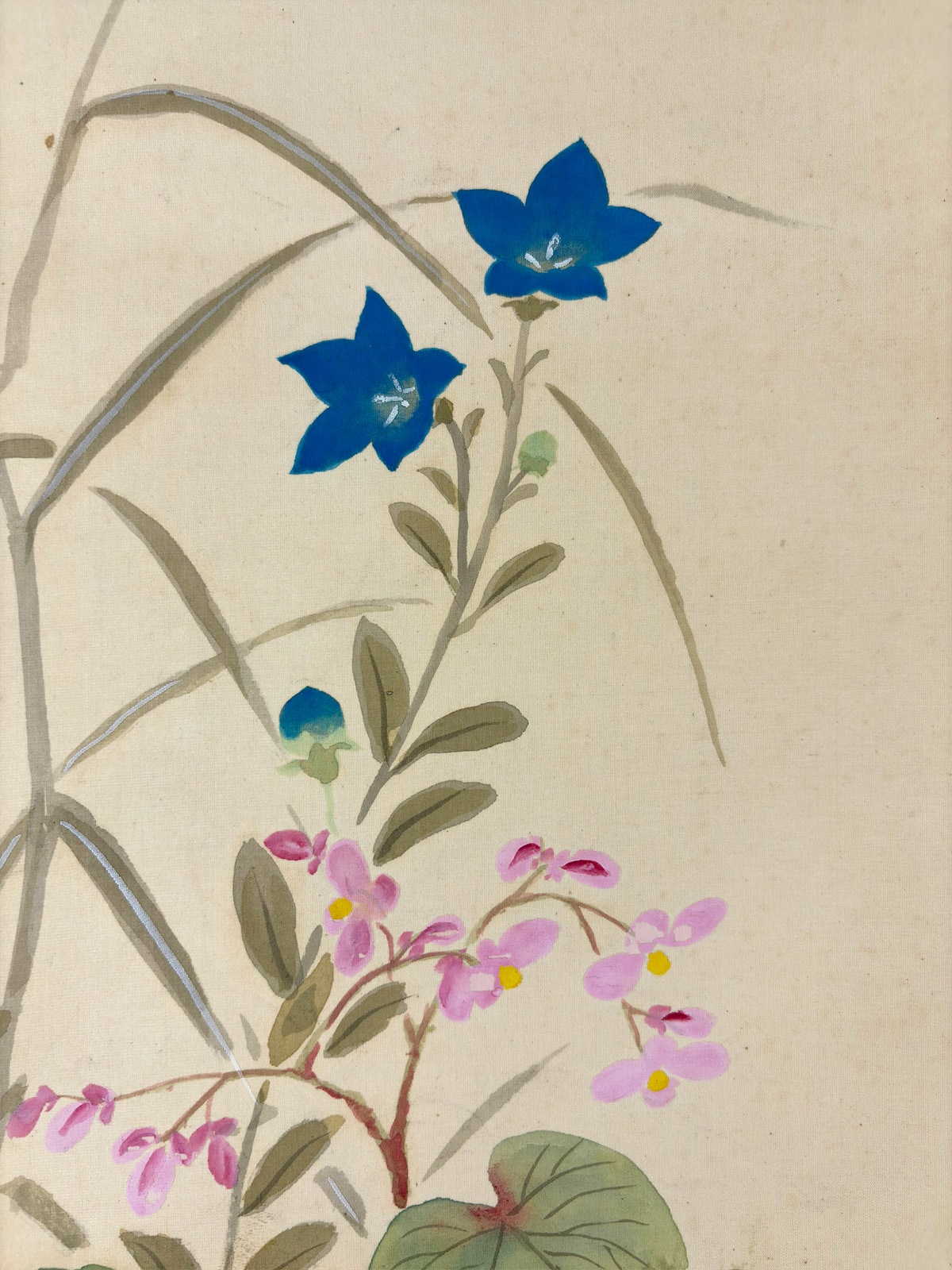 秋草(桔梗に虫)図】今井景樹 2715 掛け軸 共箱 肉筆 秋掛け 秋草(桔梗