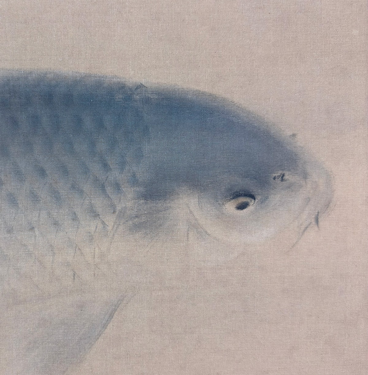 群鯉｜大幅｜新・古美術 高美堂（こうびどう）｜掛軸販売・通販・買取