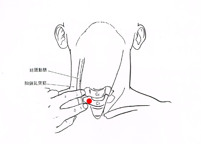 自律神経の星状神経節の位置と効果を確認