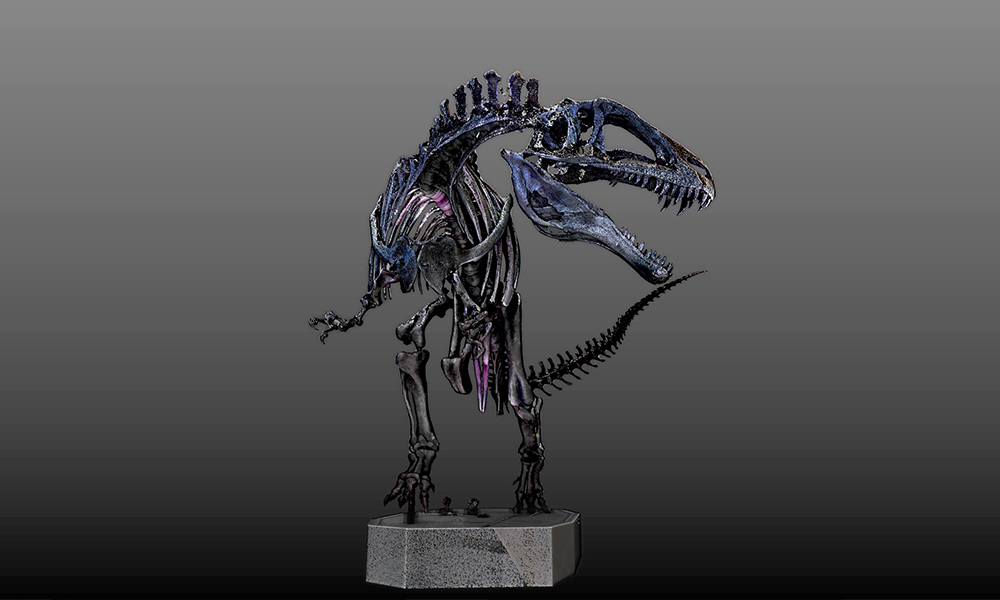 アクロカントサウルス骨格標本(レプリカ) - クモノスコーポレーション