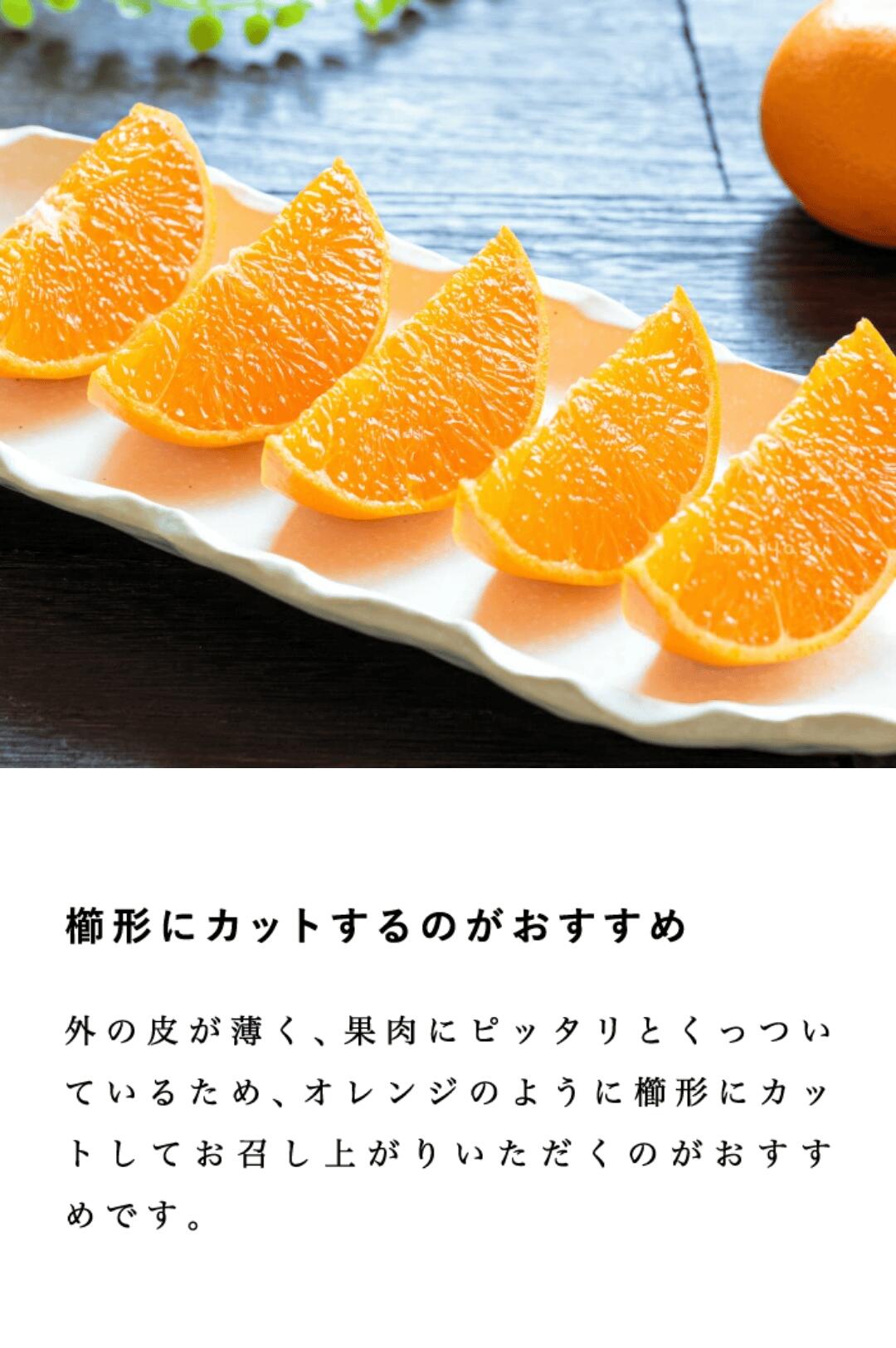 見た目傷あり・大きさ不ぞろいでお値打ち価格の愛媛西宇和産せとか【訳