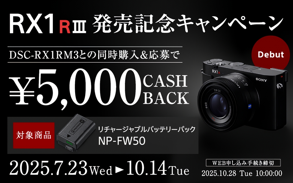 レンズ一体型フルサイズコンパクトカメラ「DSC-RX1RM3」とバッテリー