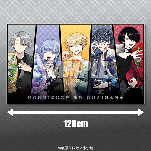 星屑の王子様」オンラインくじ | くじ引き堂