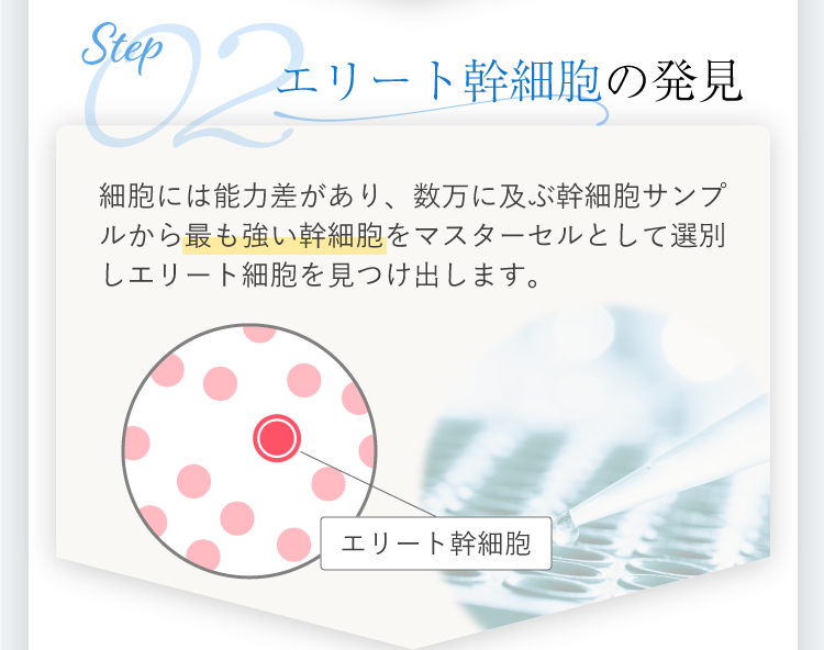 KUJIME FUSICA CREAM | KUJIME