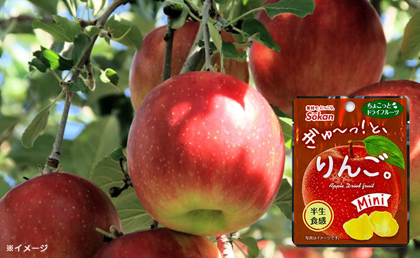 ぎゅーっ！と、りんご。Mini」16gのお得通販｜Kuradashi(クラダシ)で