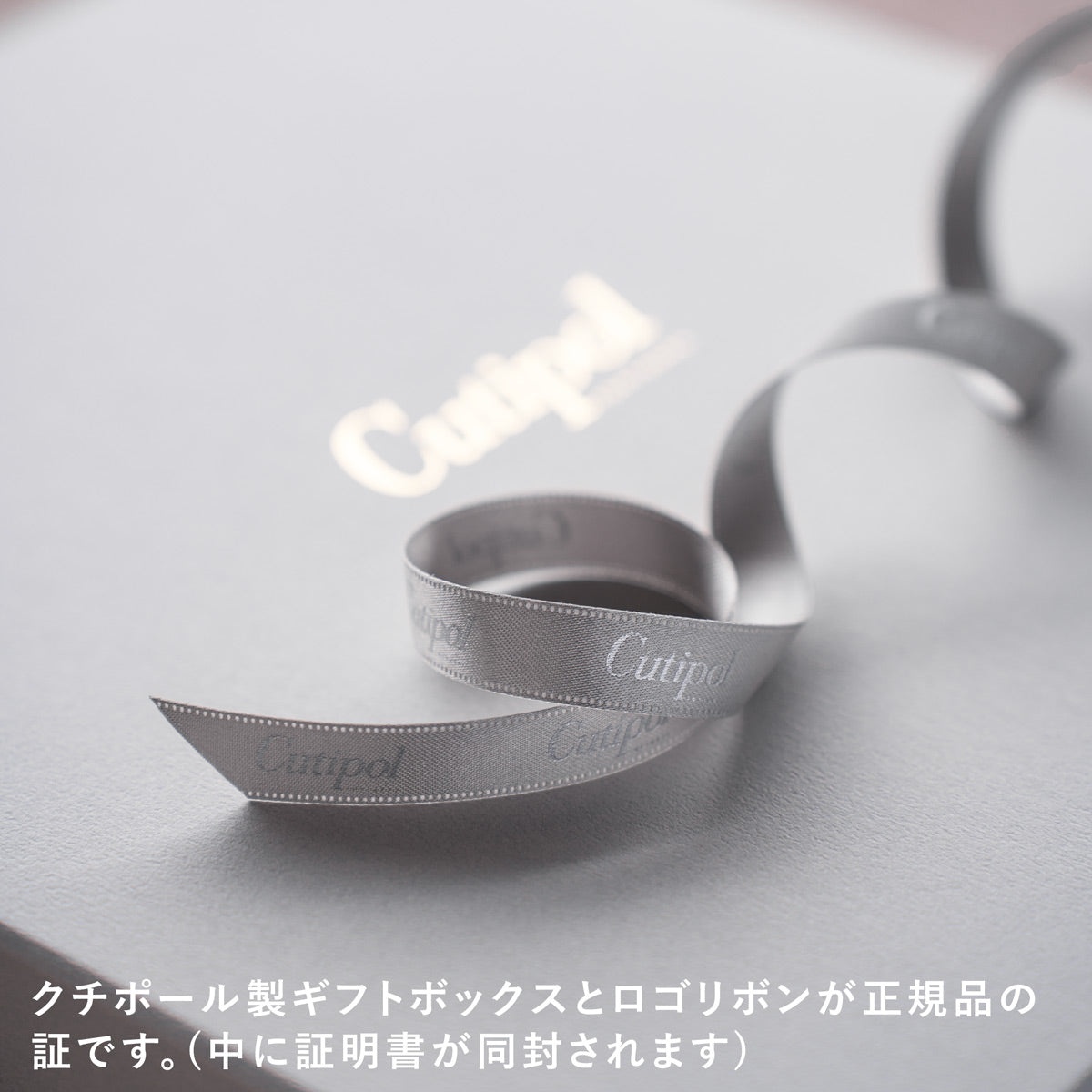 クチポール GOA ディナー 6本 ギフトセット ホワイトゴールド 白化粧箱