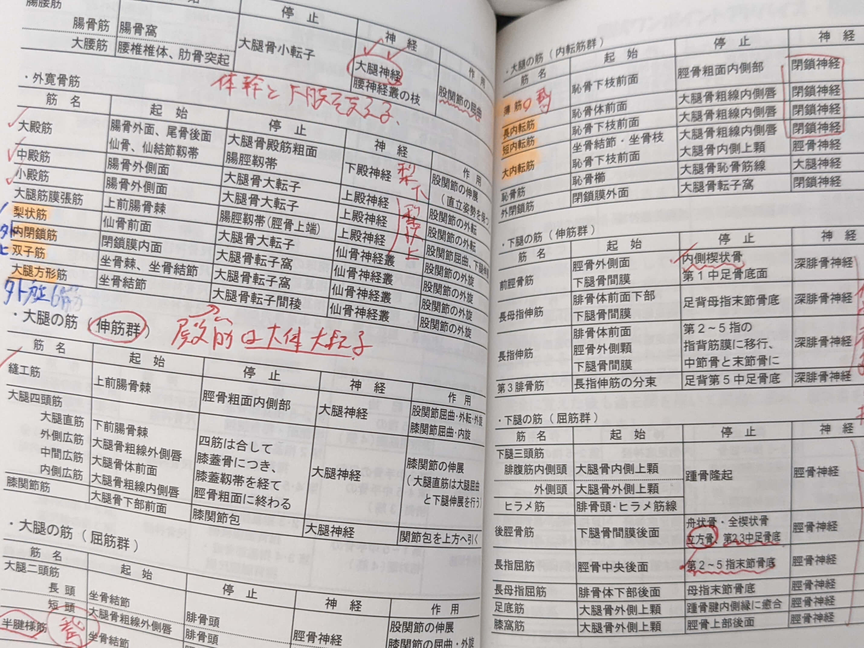 柔道整復師】鶴野 真也 さんに聞いた国試黒本の活用法 | 国試黒本